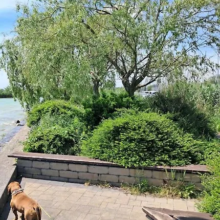 Pilikan - Yacht Port Balaton